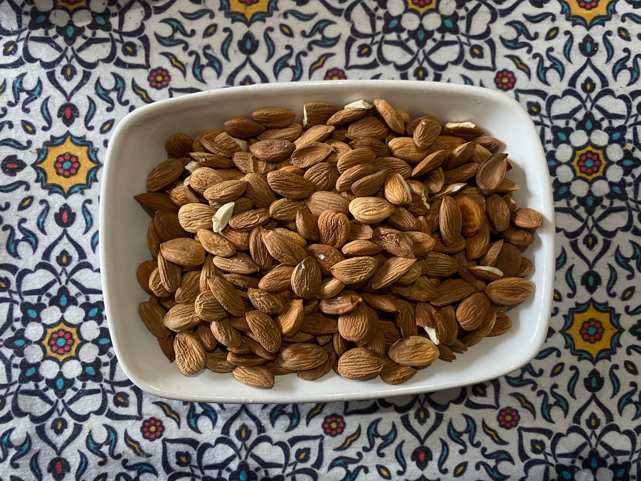 Apricot Kernel