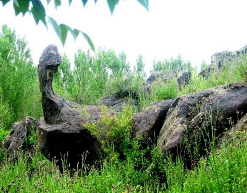 Ağrı Dağı